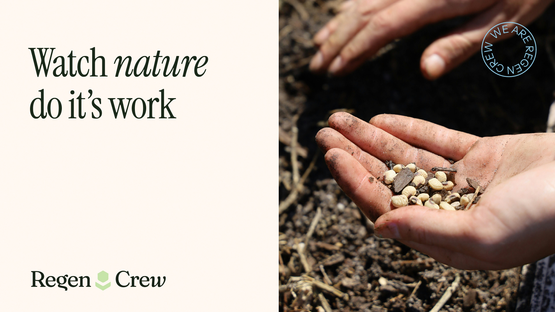 brad-identity-regen crew