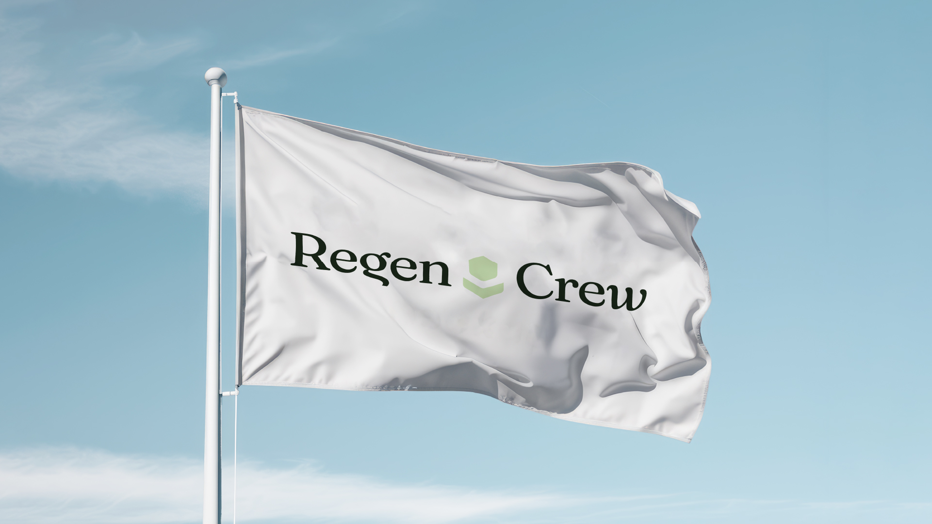 brand identity_flag