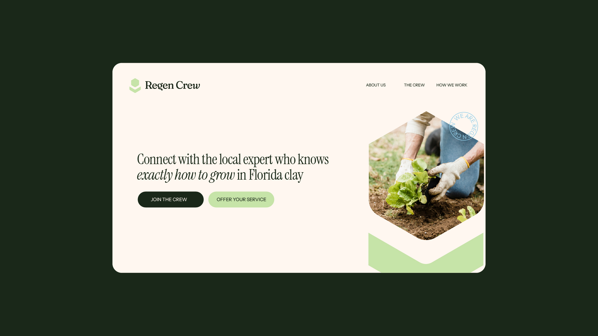 brand identity_landing-page