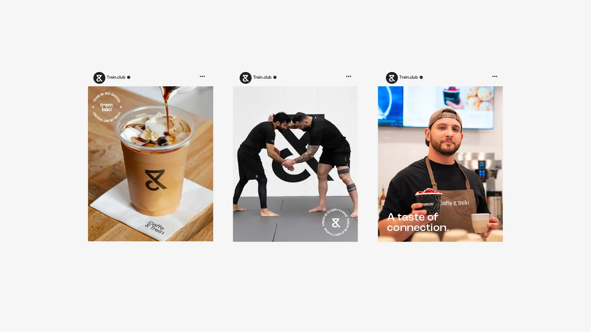 trein_visual identity design_post